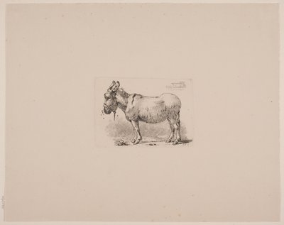 Un asino tormentato dalle mosche da Johan Thomas Lundbye