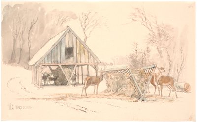 Le siepi di foraggio per la selvaggina nel Parco dei Cervi da Johan Thomas Lundbye