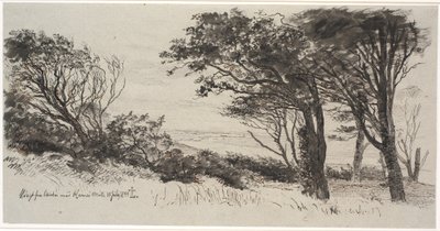 Alberi spazzati dal vento. Vejrhøj da Johan Thomas Lundbye