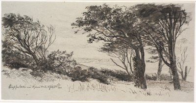 Alberi spazzati dal vento. Vejrhøj da Johan Thomas Lundbye