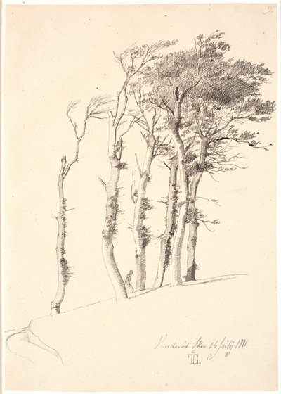 Gruppo di alberi piegati dal vento da Johan Thomas Lundbye