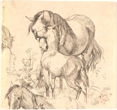 La cavalla e il puledro, studio di cavallo (schiena e testa) e orecchie di un puledro da Johan Thomas Lundbye