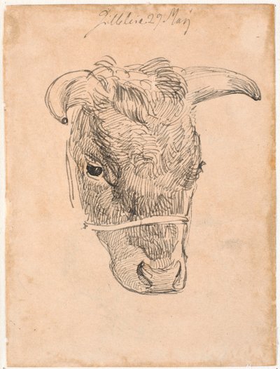 Testa di una mucca da Johan Thomas Lundbye