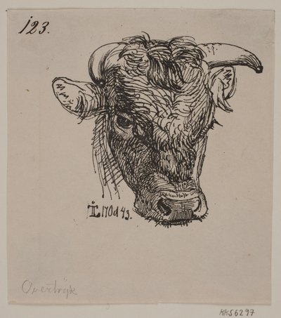 Testa di un giovane toro da Johan Thomas Lundbye