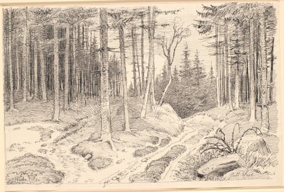 Strada scavata attraverso una foresta di abeti da Johan Thomas Lundbye
