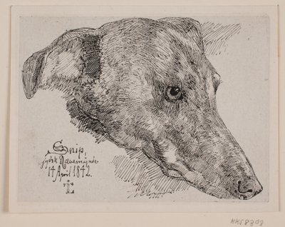 Testa di cane, Snip da Johan Thomas Lundbye