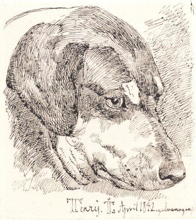 Testa di cane, Terry da Johan Thomas Lundbye
