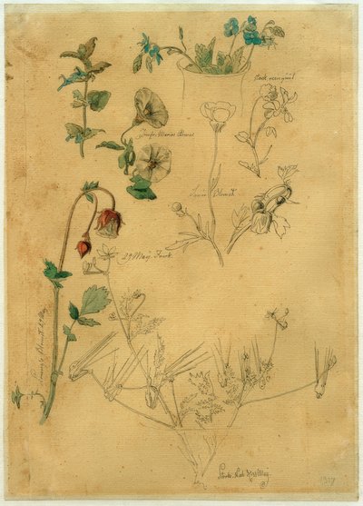 J. Th. Lundbye, Studio di piante da Johan Thomas Lundbye