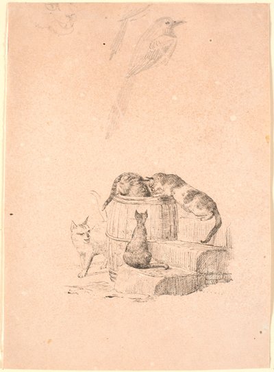 I gatti. In alto studio a matita di una testa di gatto e due gazze da Johan Thomas Lundbye