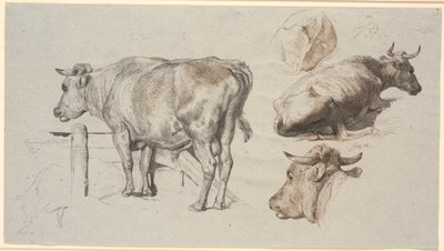 Studi di bestiame. A sinistra il toro Grev Geert da Johan Thomas Lundbye
