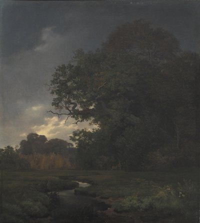 Paesaggio con tempo nuvoloso. Tardo pomeriggio da Johan Thomas Lundbye