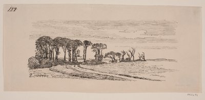 Paesaggio con una fila di alberi da Johan Thomas Lundbye