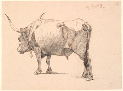 Toro romano con campana al collo, visto da dietro da Johan Thomas Lundbye