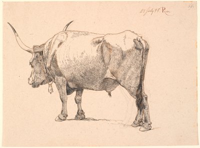 Toro romano con campana al collo, visto da dietro da Johan Thomas Lundbye