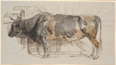 Toro in piedi nella sua stalla da Johan Thomas Lundbye