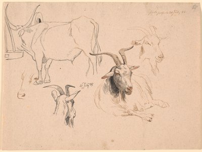 Studio di un bue e due studi di teste di capra e uno di una capra sdraiata da Johan Thomas Lundbye