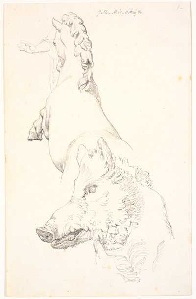 Studio di sculture antiche: Testa di cinghiale, torso di cavallo impennato visto da dietro e un braccio con drappeggio da Johan Thomas Lundbye