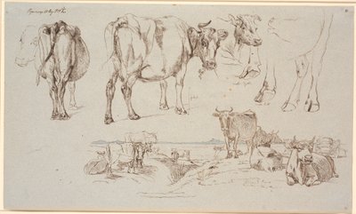 Foglio di studio da Vognserup. Studi di mucche, paesaggio con mucche in piedi e sdraiate da Johan Thomas Lundbye