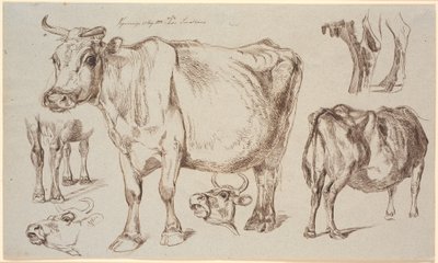 Foglio di studio da Vognserup. Vari studi di una mucca da Johan Thomas Lundbye