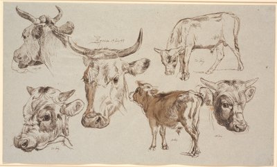 Foglio di studio da Vognserup. Studi di teste di mucche, vitelli e le loro teste da Johan Thomas Lundbye