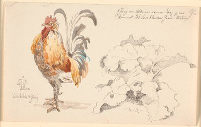 Foglio di studio con un gallo e una pianta di acetosa da Johan Thomas Lundbye