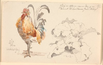 Foglio di studio con un gallo e una pianta di acetosa da Johan Thomas Lundbye