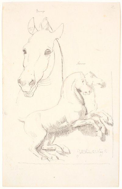Studi di sculture antiche. In alto una testa di cavallo, in basso un rilievo con due cavalli da Johan Thomas Lundbye