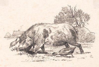 Il maiale e l