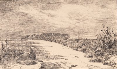 Ved Himlingøje, paesaggio invernale da Johan Thomas Lundbye