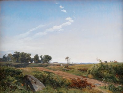 Paesaggio della Zelanda. Campagna aperta nella Zelanda settentrionale da Johan Thomas Lundbye