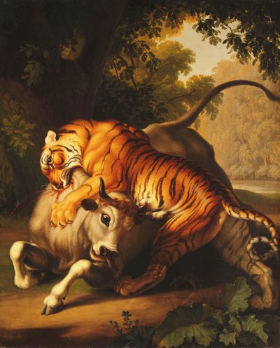 Una tigre che attacca un toro, 1785 da Johan Wenzel Peter