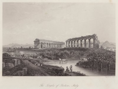 I templi di Paestum, Italia da Johan Wolfensberger