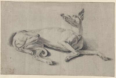 Levriero sdraiato da Johan le Ducq (possibly)
