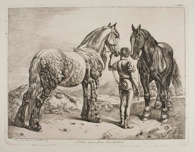  da Johann Adam Klein