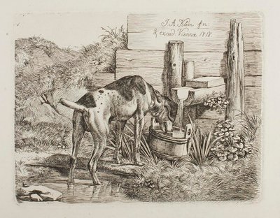  da Johann Adam Klein
