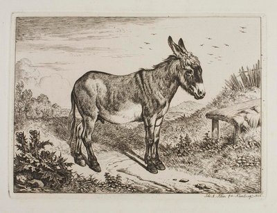 Asino da Johann Adam Klein