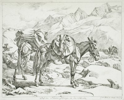  da Johann Adam Klein