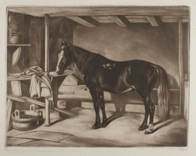  da Johann Adam Klein