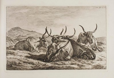 Buoi sdraiati da Johann Adam Klein
