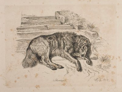  da Johann Adam Klein
