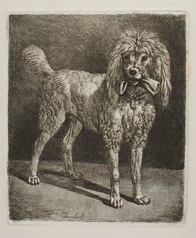  da Johann Adam Klein