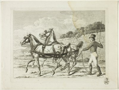 Scuola di equitazione e cavalli da Johann Adolph Darnstedt