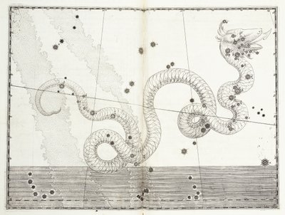 Costellazione di Serpens Caput e Serpens Cauda da Johann Bayer