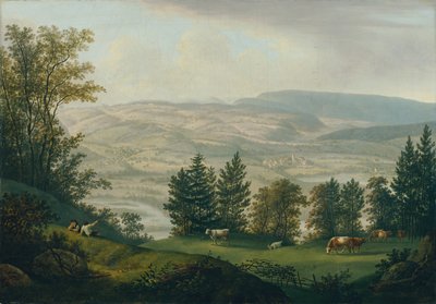 Dintorni delle rovine di Habsburg da Johann Caspar Rahn