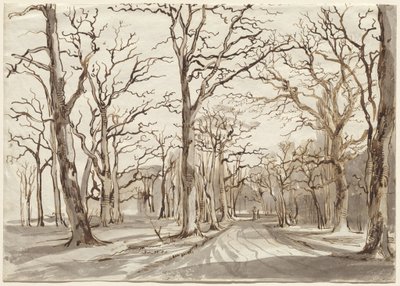 Un Sentiero nel Bosco a Rosenthal in Inverno da Johann Christian Reinhart