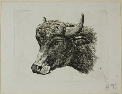 Testa di bufalo rivolta a sinistra, da Die Zweite Thierfolge da Johann Christian Reinhart
