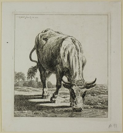 Mucca che beve, da Die Zweite Thierfolge da Johann Christian Reinhart