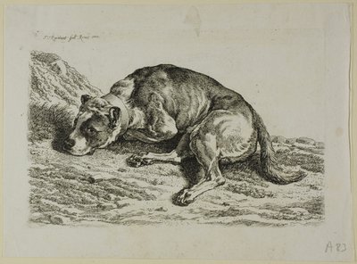 Cane sdraiato, da Die Zweite Thierfolge da Johann Christian Reinhart