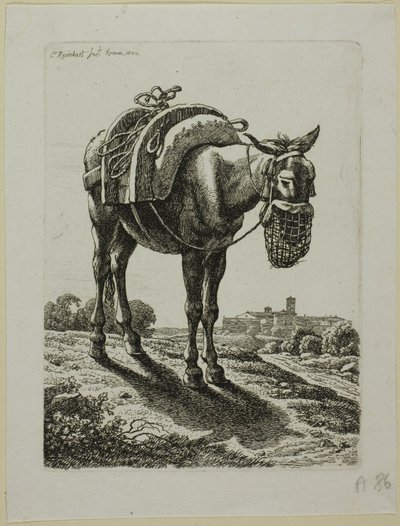 Mulo che mangia - Fronte, da Die Zweite Thierfolge da Johann Christian Reinhart