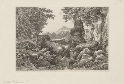  da Johann Christian Reinhart